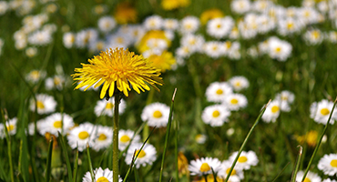 weekend-majowy weekend-majowy